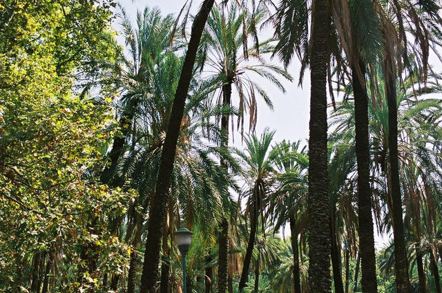 Parc Public Villa Bonanno Parc Public Villa Bonanno